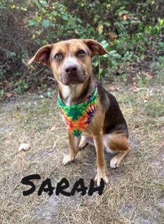 Sarah 125600