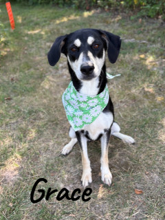 Grace 123032