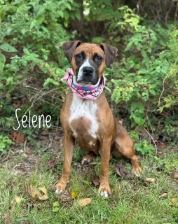 Selene 125265