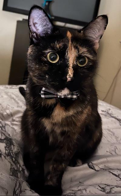 Nyx