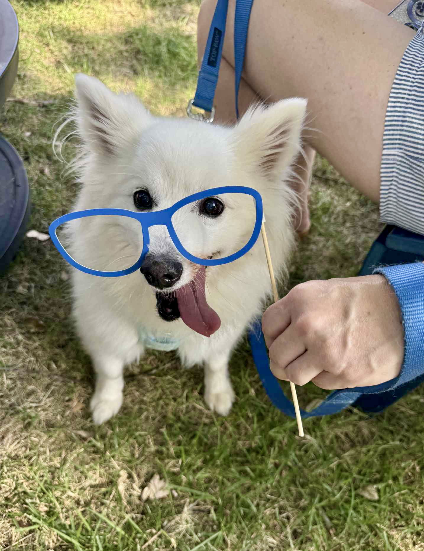 Nanook Norton