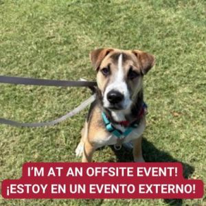 Baxter