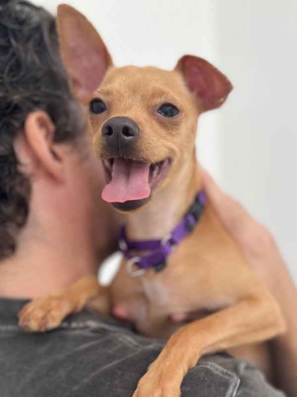 Daisy Mae