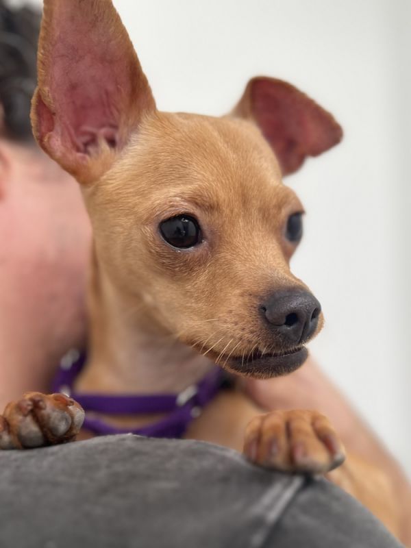 Daisy Mae thumbnail 2