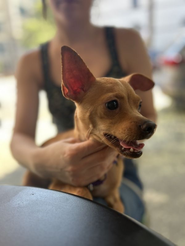 Daisy Mae thumbnail 3