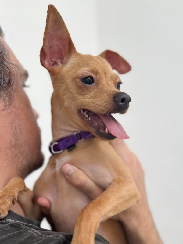 Daisy Mae thumbnail 6