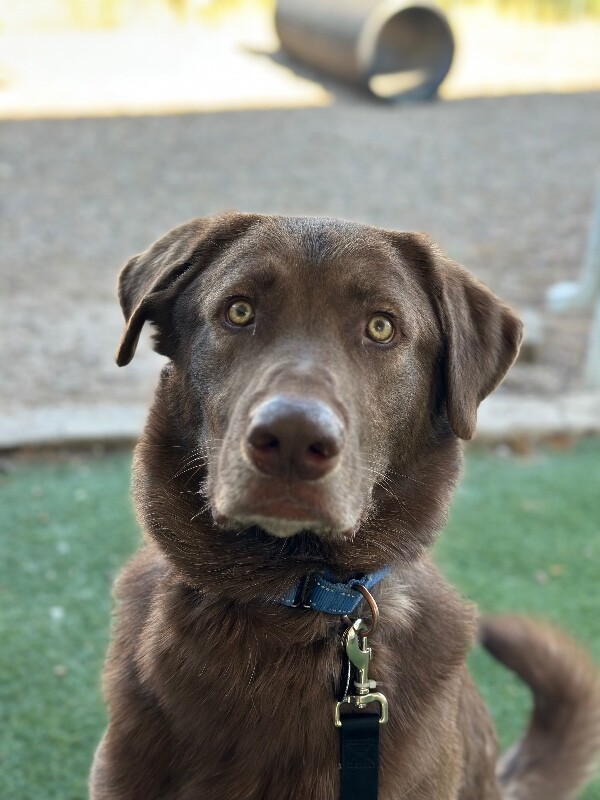 Kenai