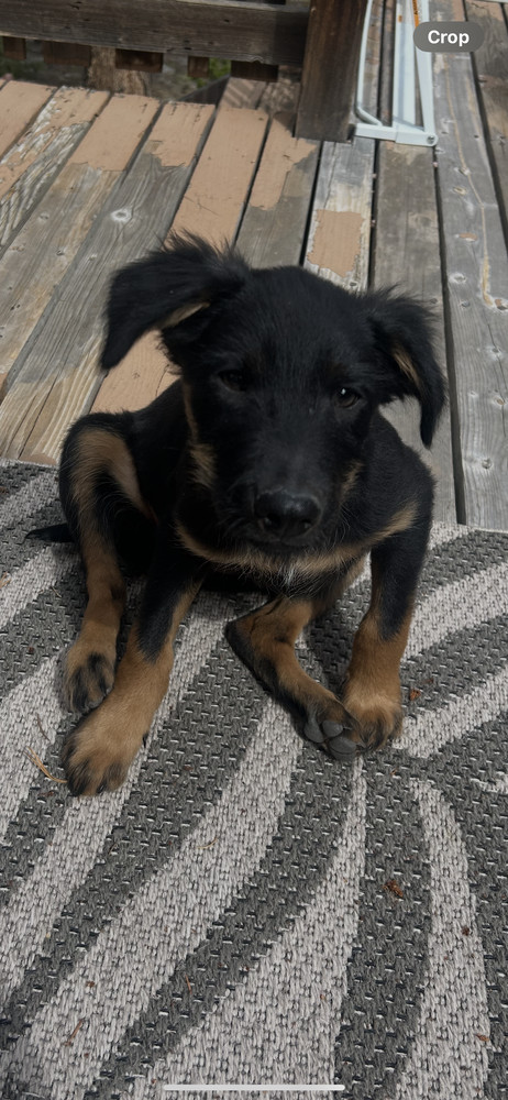 Nora