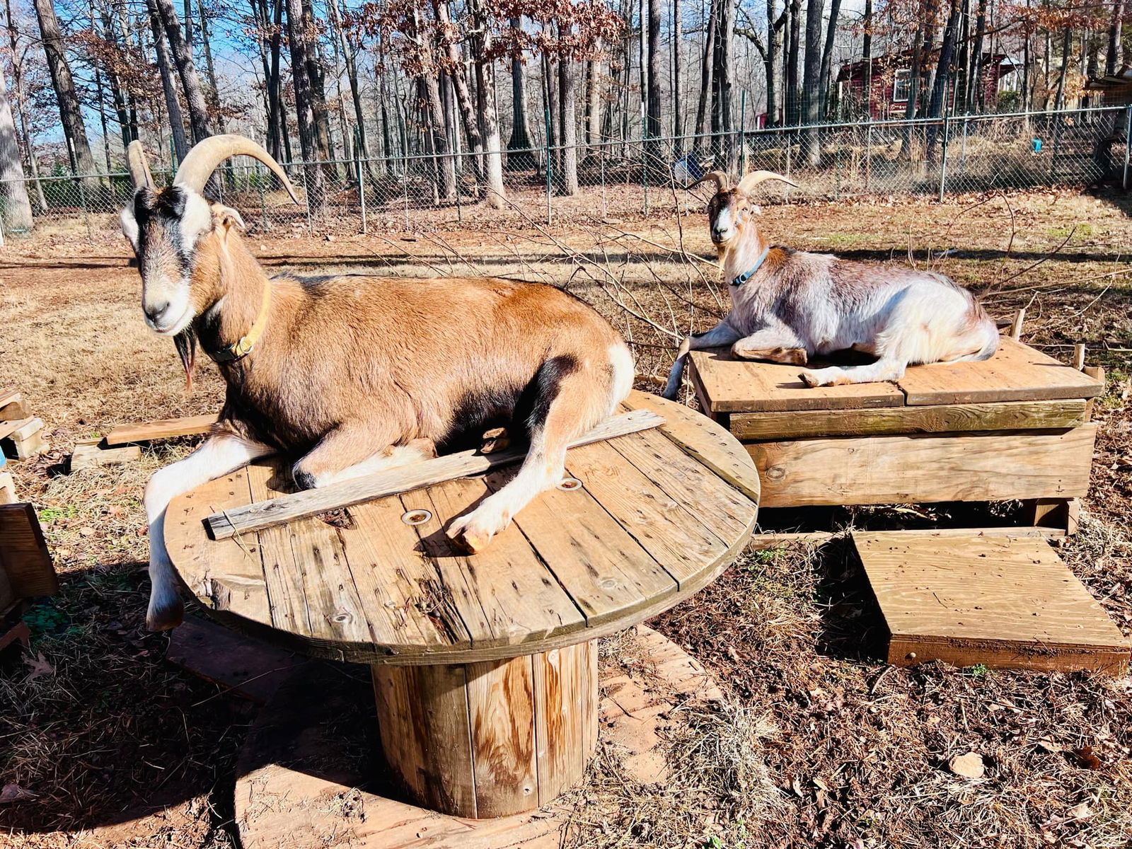 Graham & Leif: Not at the shelter
