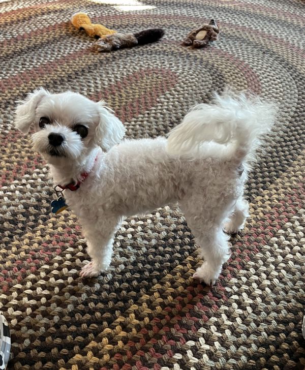 Marnie  Fairfield thumbnail 2