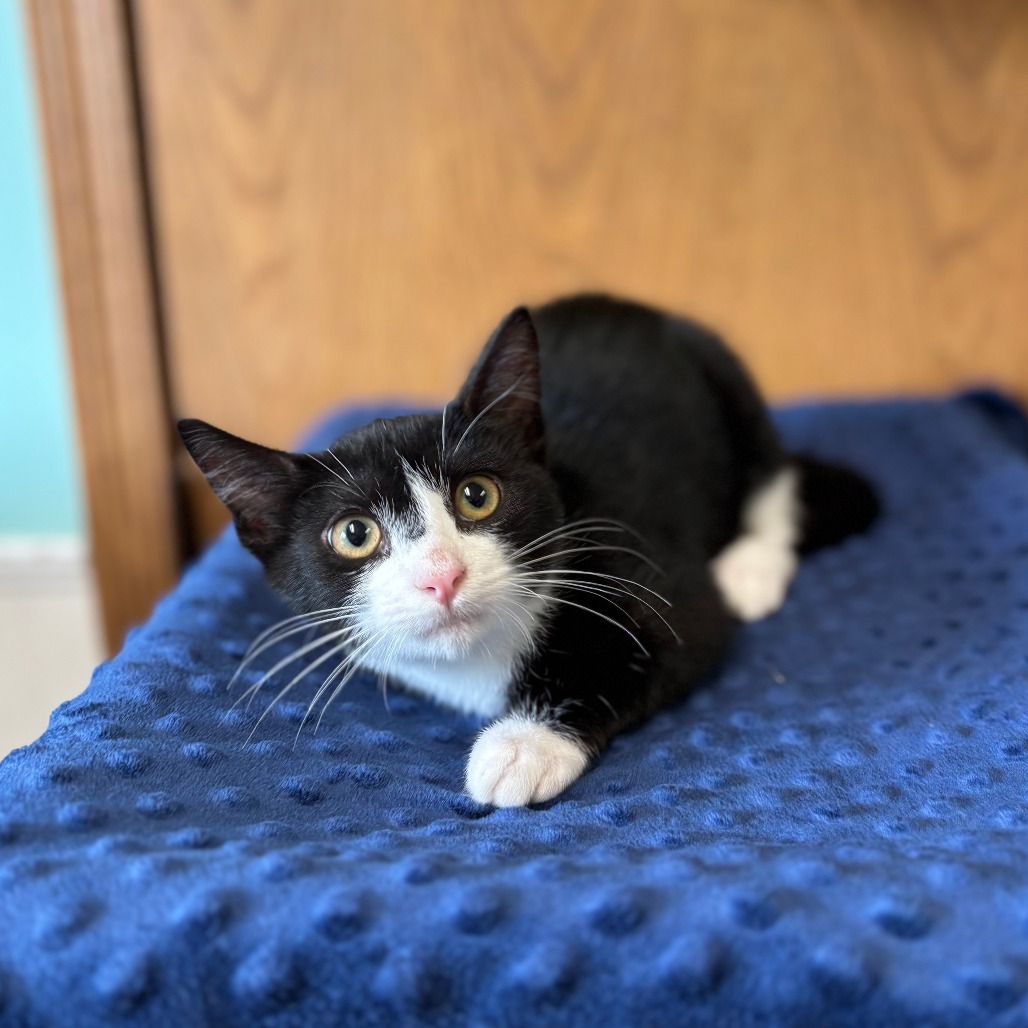 Topsy--In Foster