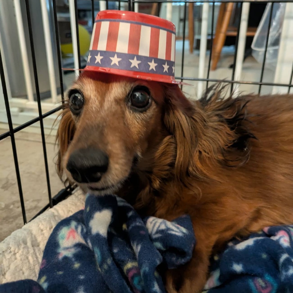 Liberty