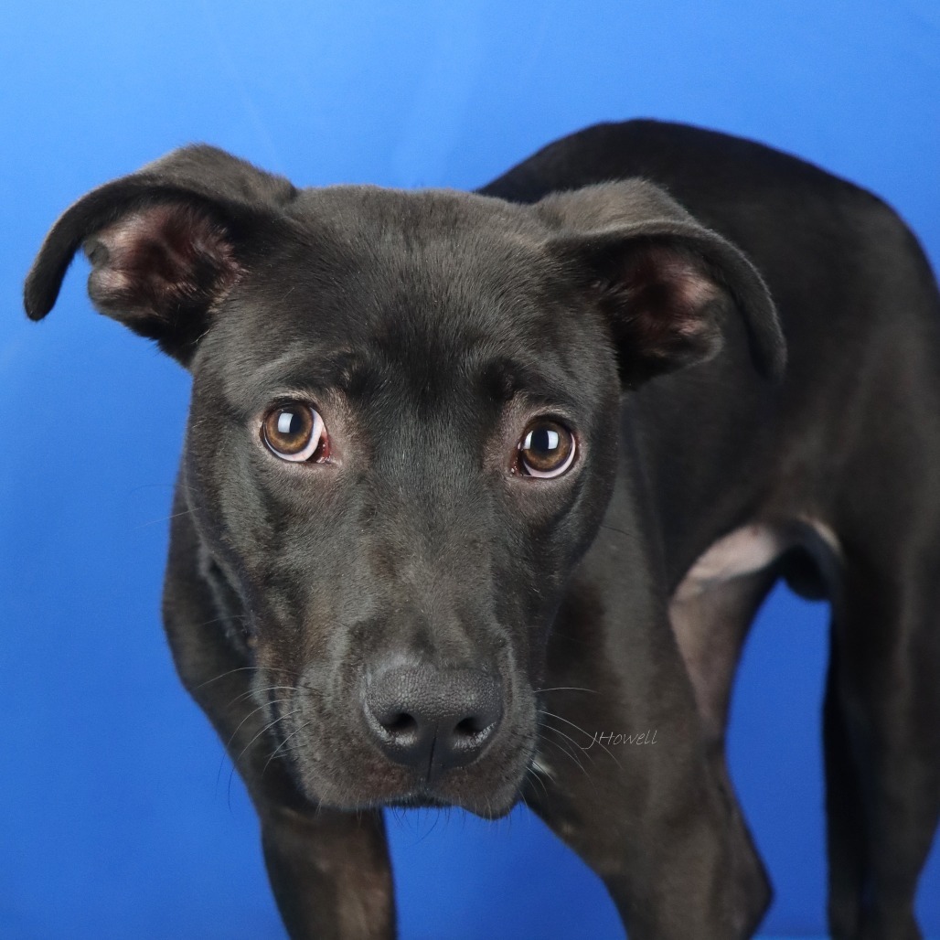 Doby-050101T