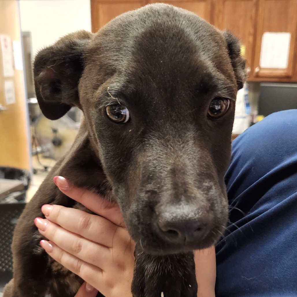 Doby-050101T