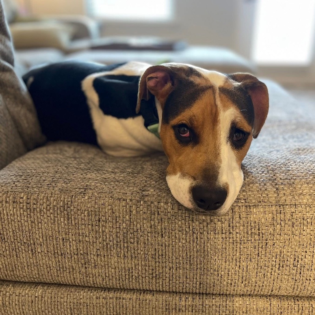 Winnie Lou