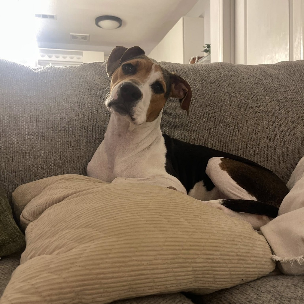 Winnie Lou