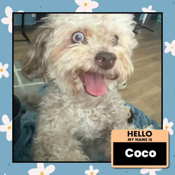 Coco