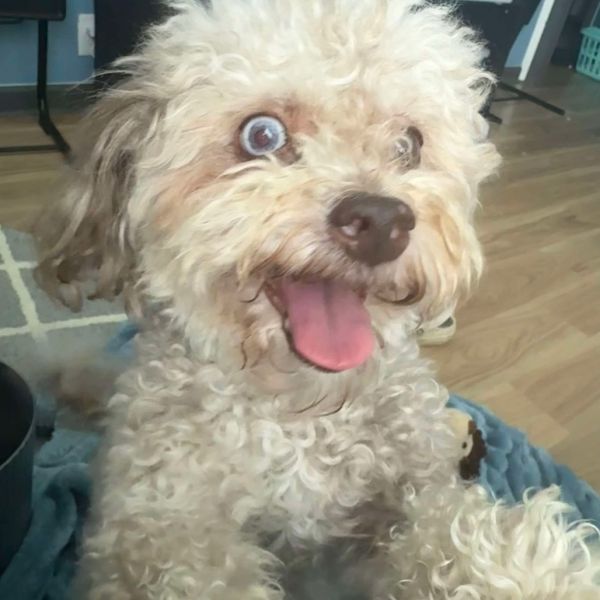Coco thumbnail 2