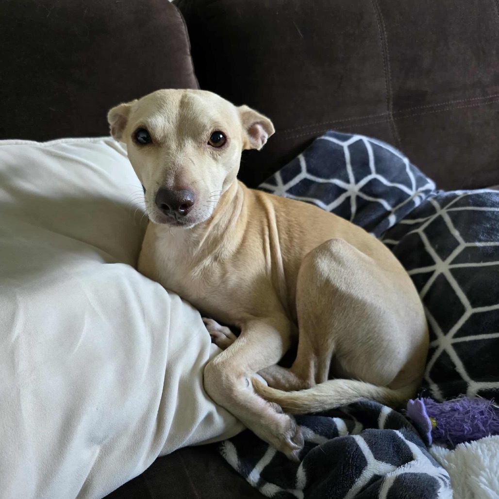 Zuko