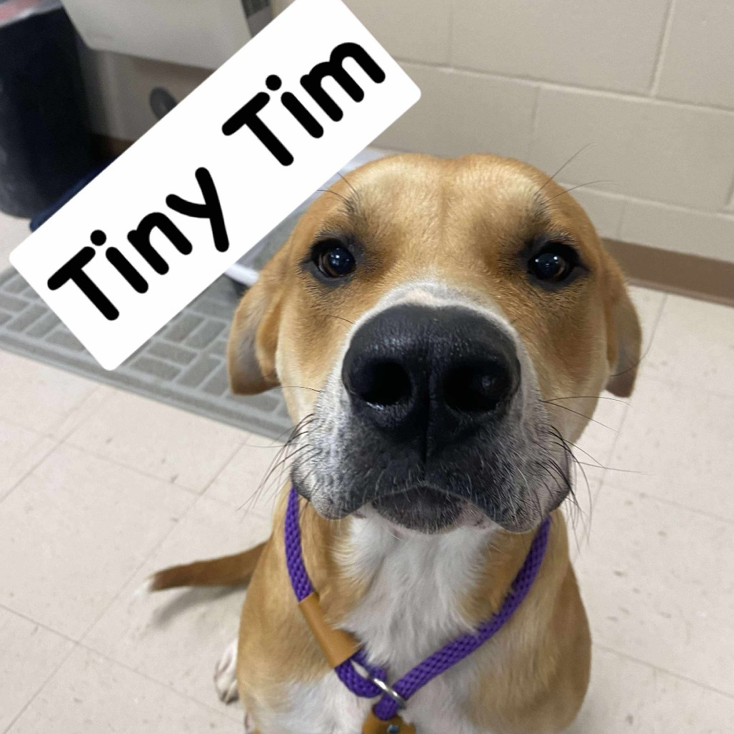 Tiny Tim
