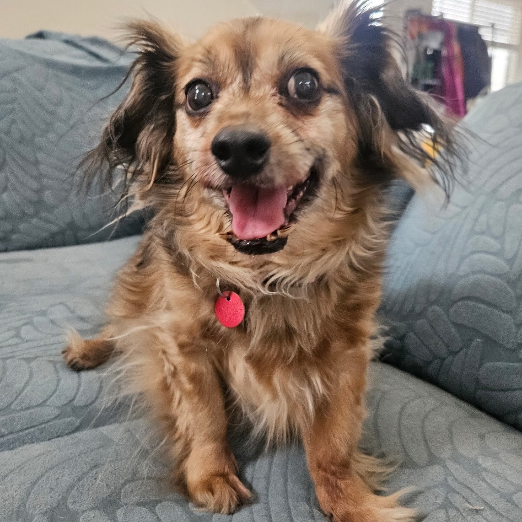 Baxter