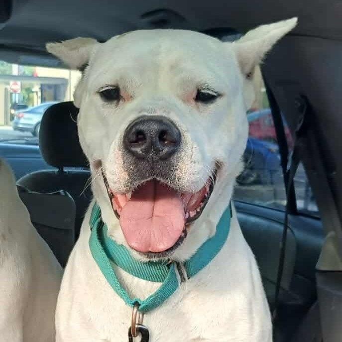 Elsa