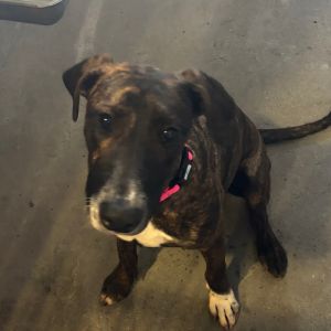 Mia A2204810