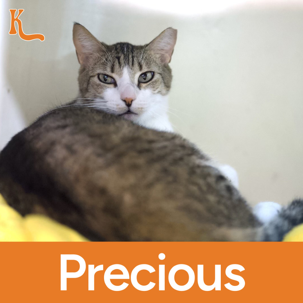 Precious