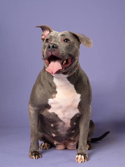 Berry (Bonded with Toast)
