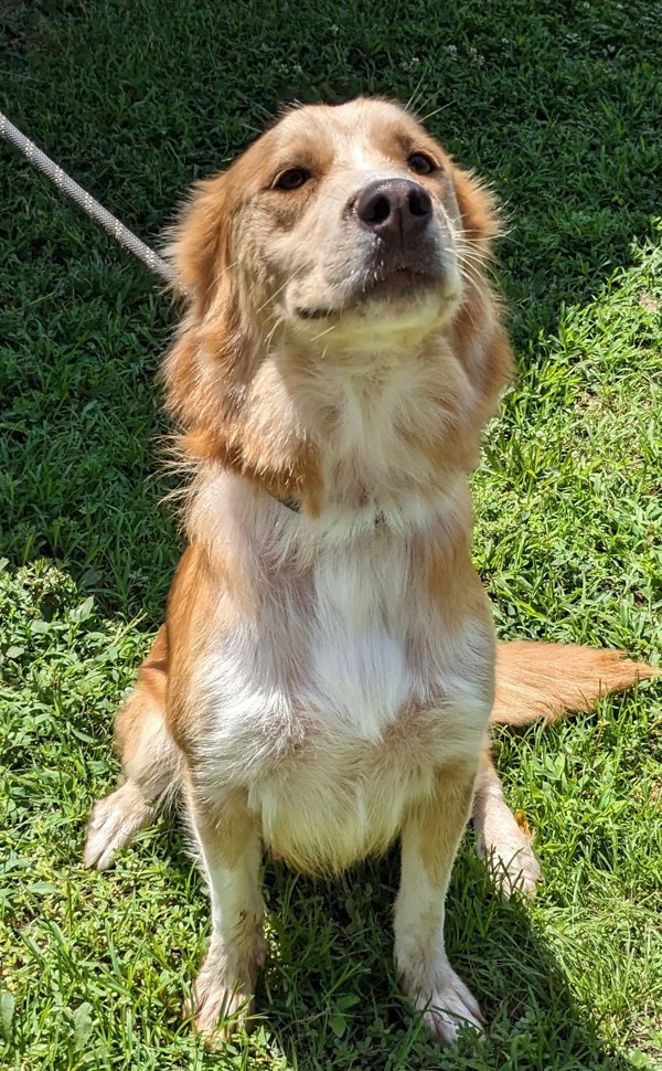 Ellie