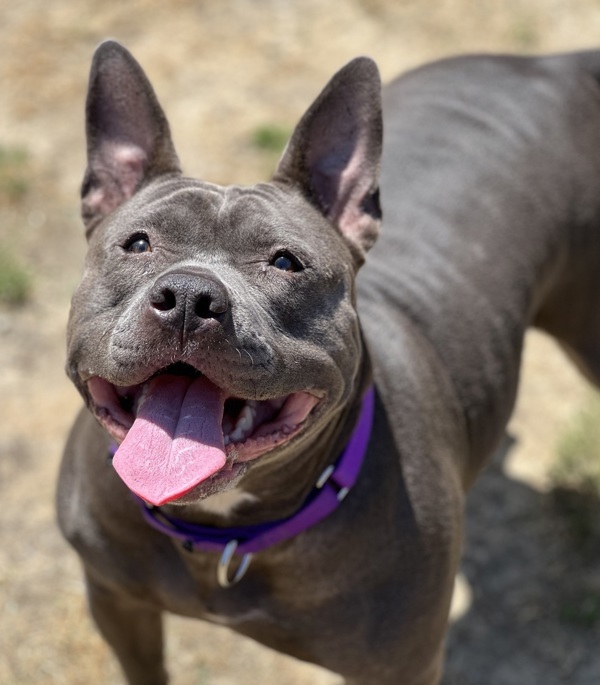 Zoey