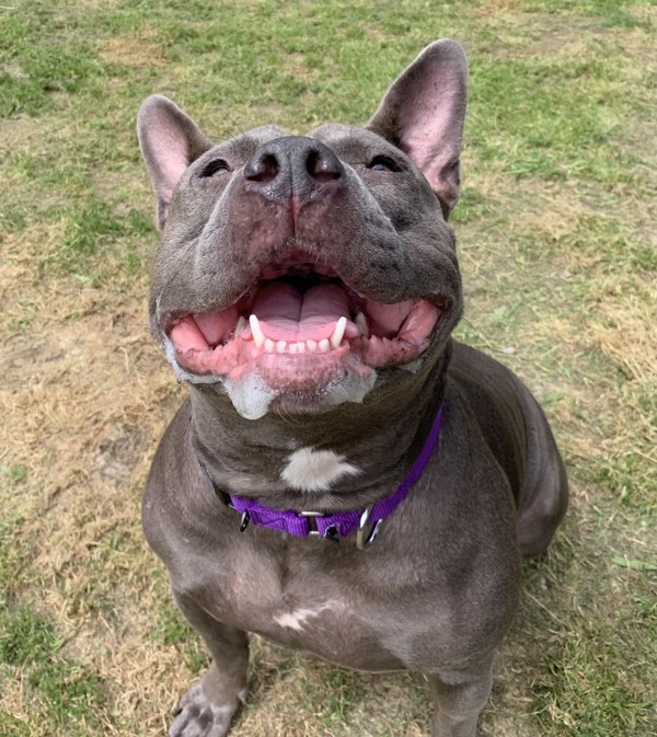 Zoey
