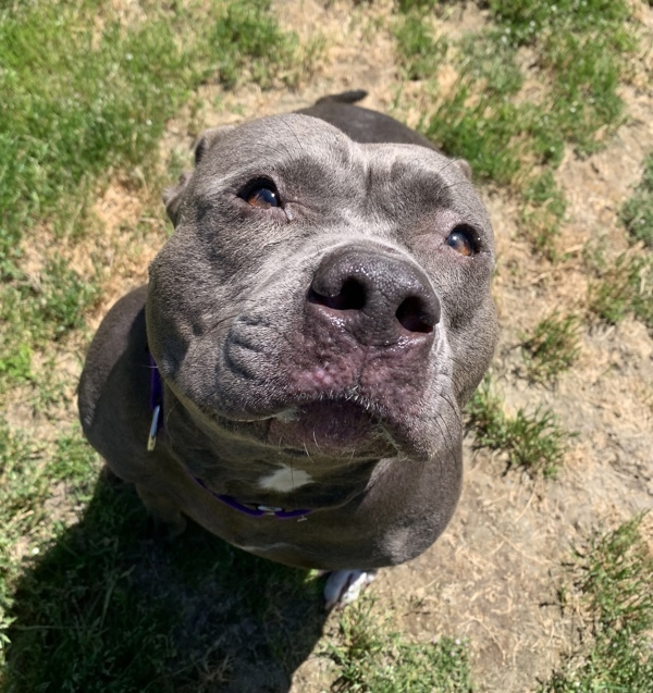 Zoey