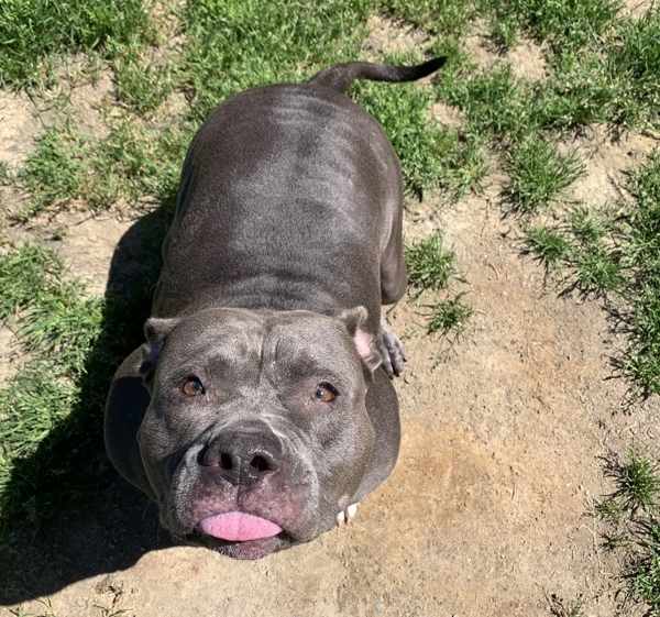 Zoey