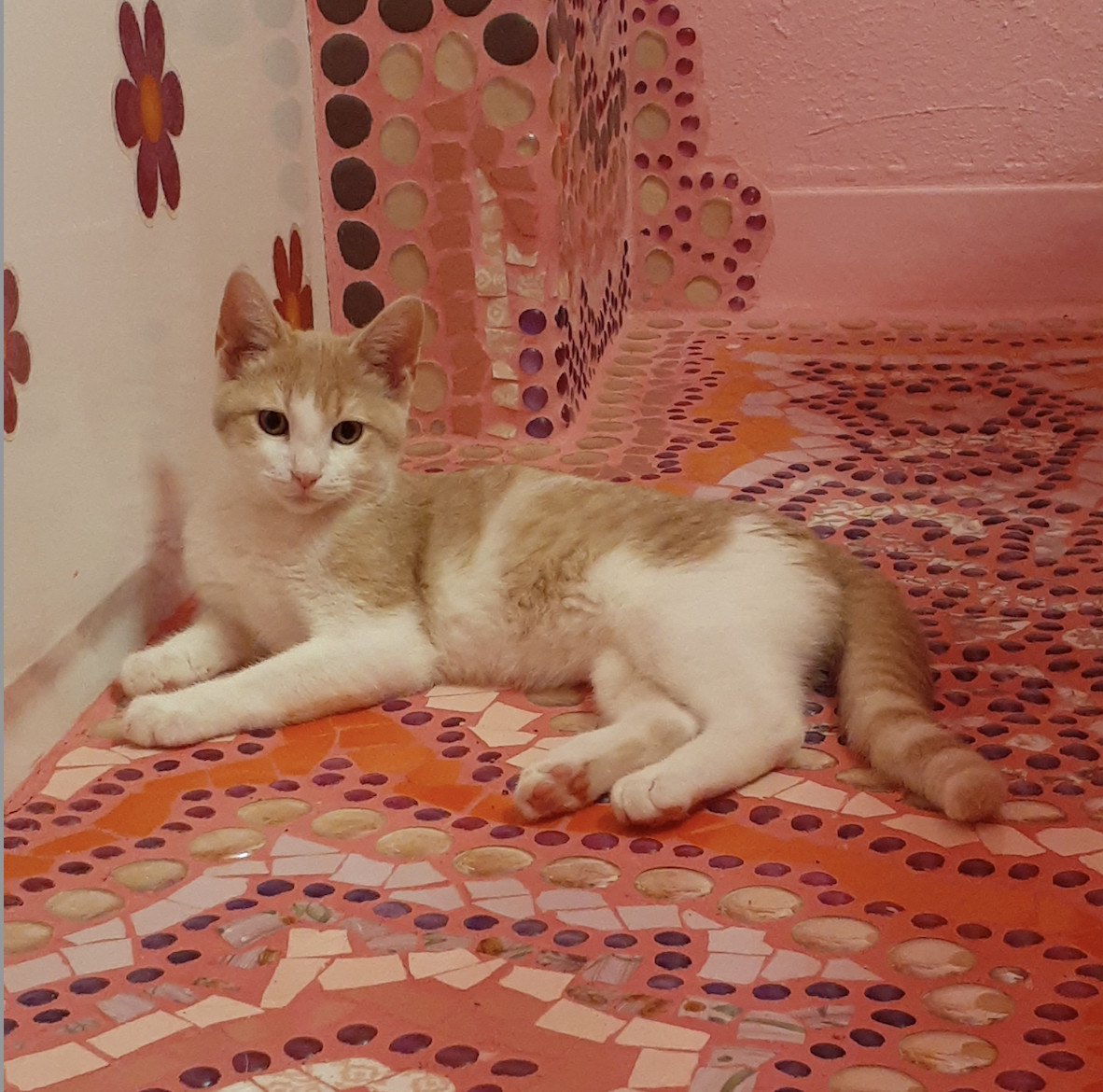 Catrick Swayze