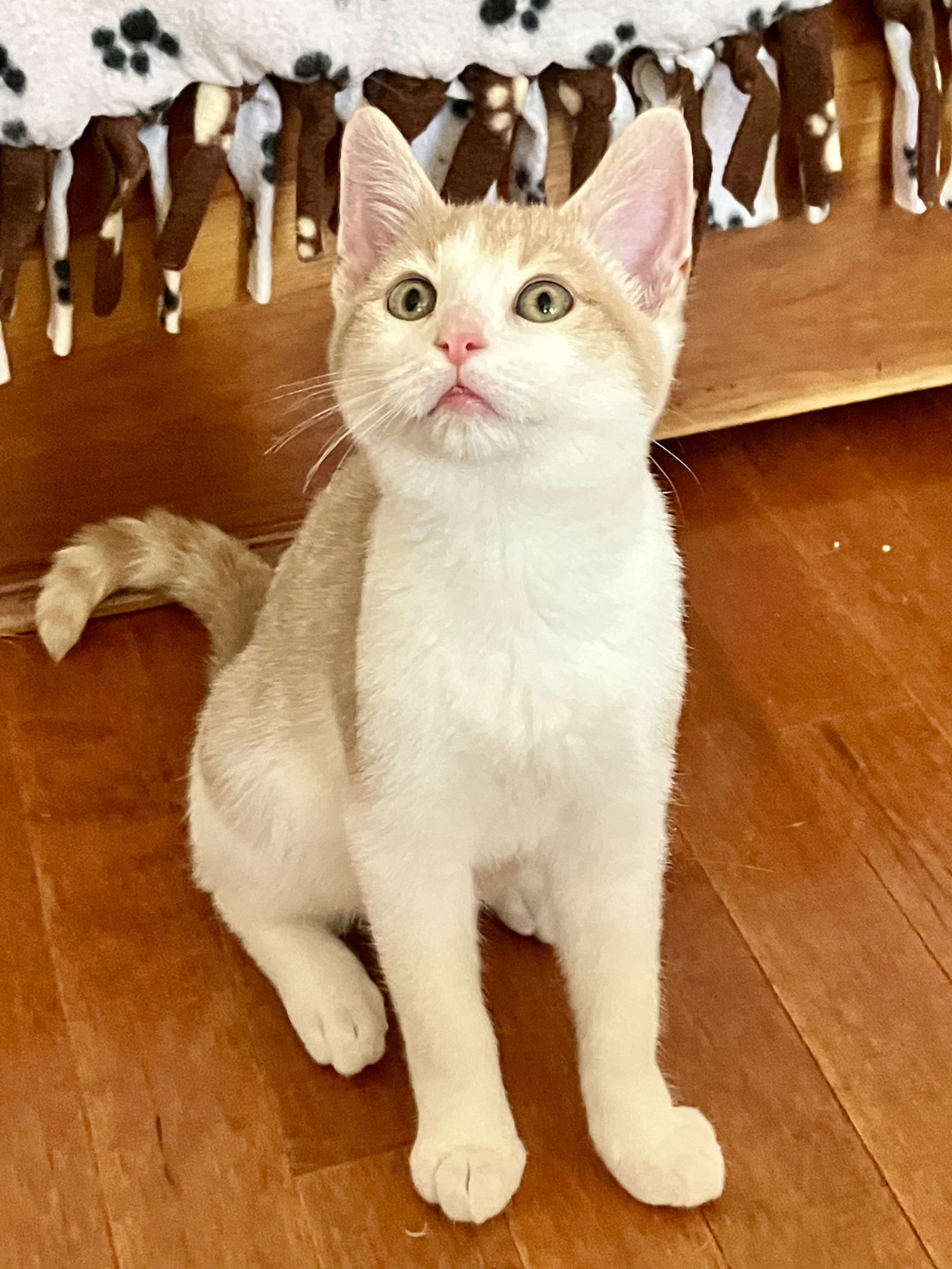 Catrick Swayze