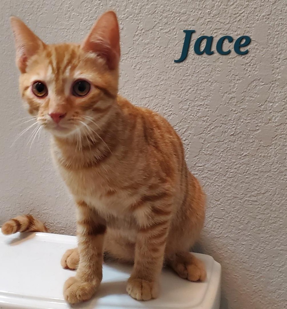 Jace