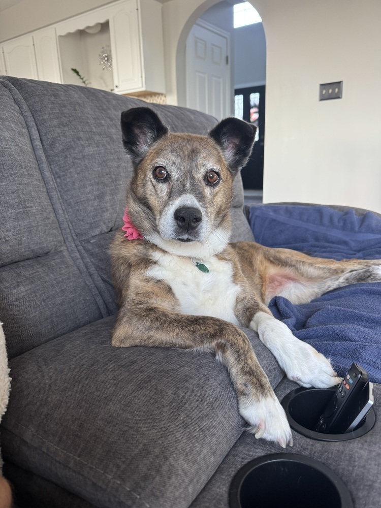 Bella