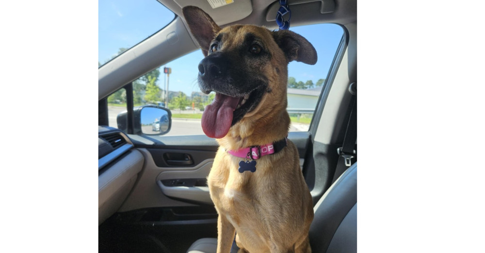 Maya