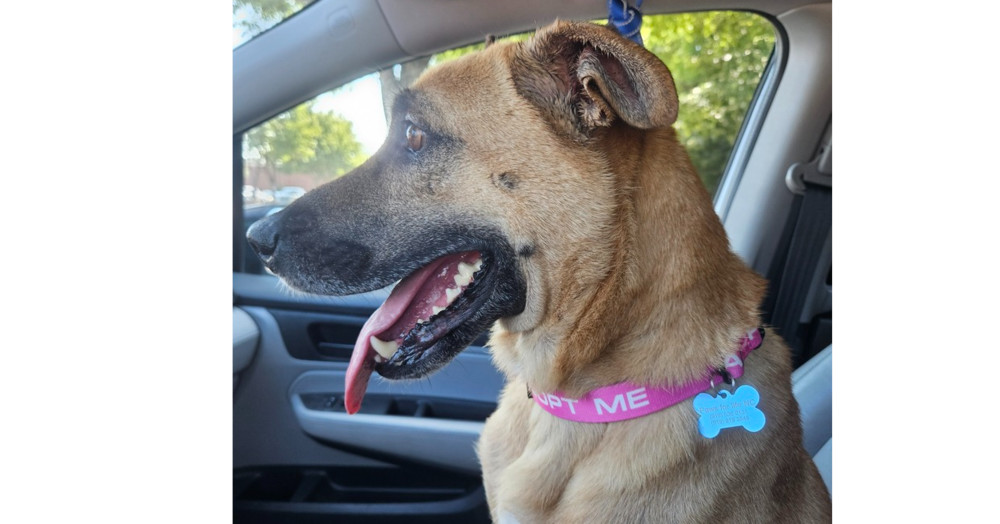 Maya