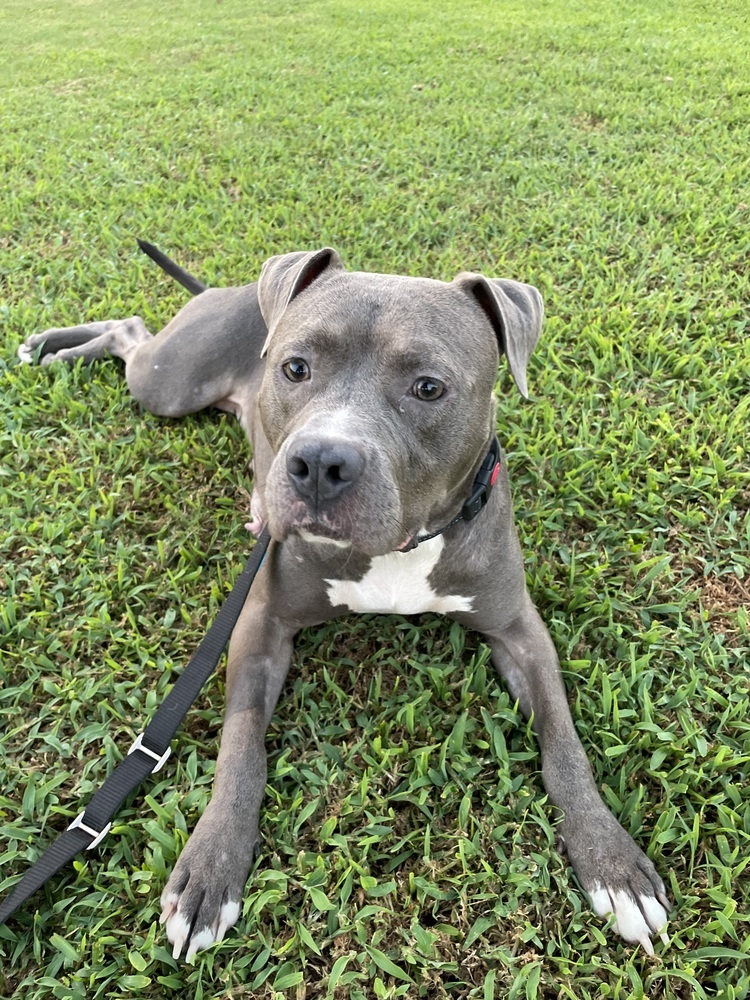 Lil Mama