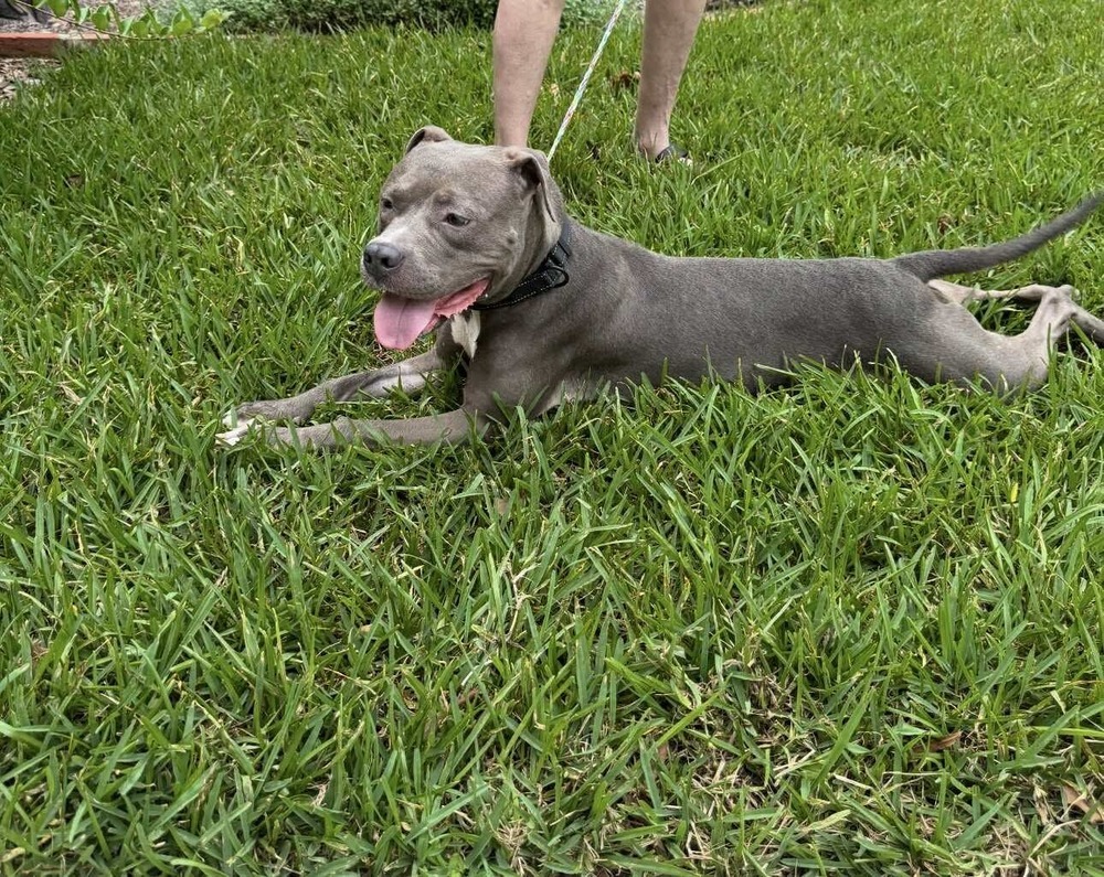 Lil Mama