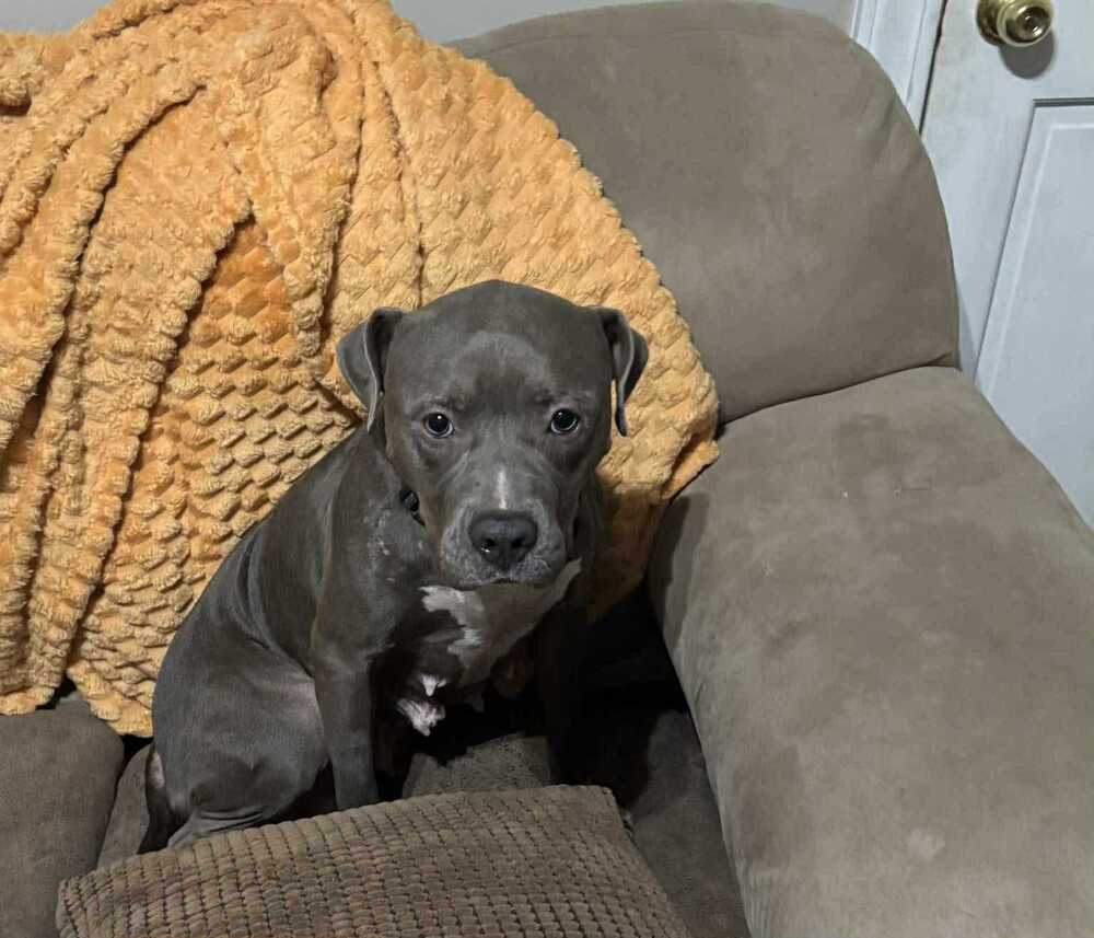 Lil Mama