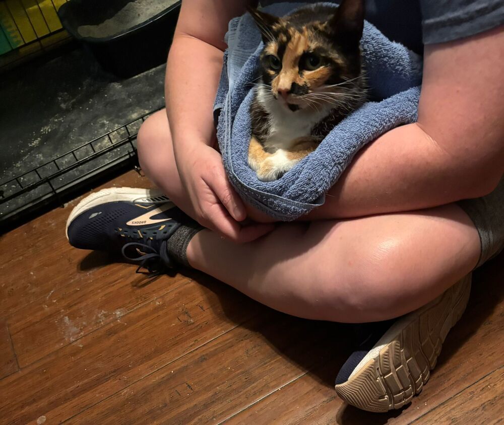 Mama Phoebe '25