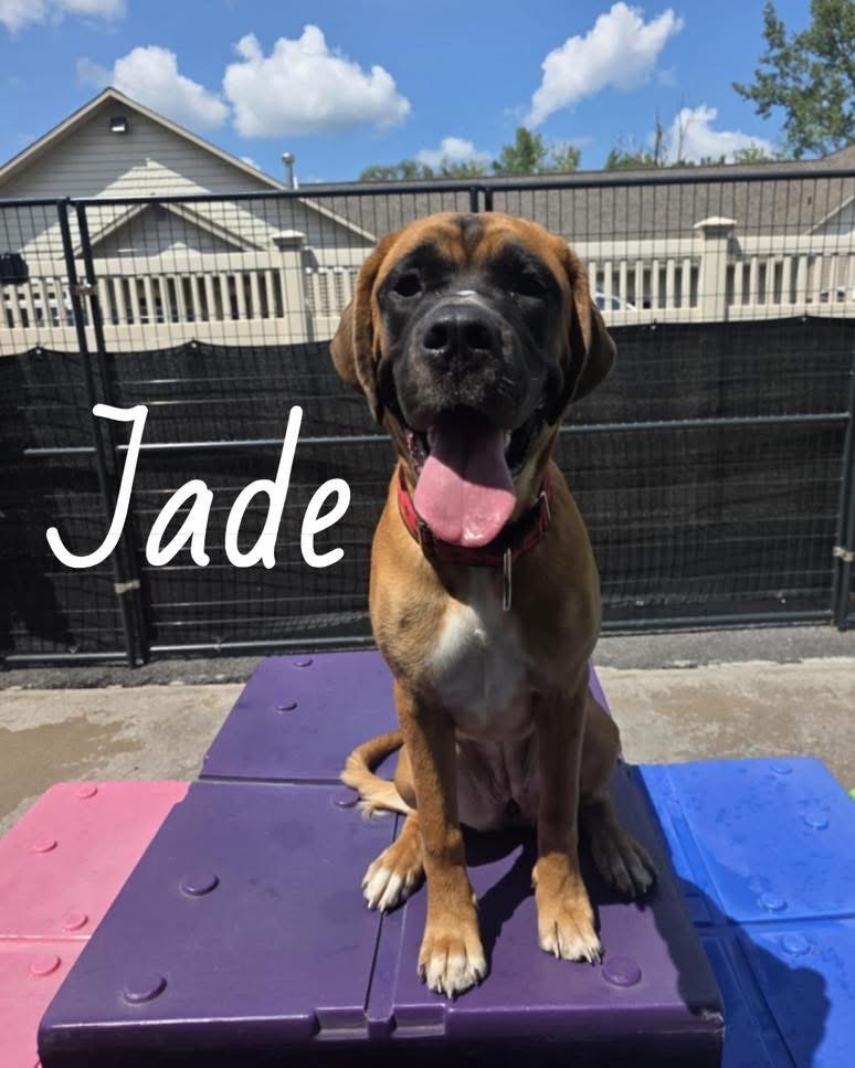 Jade