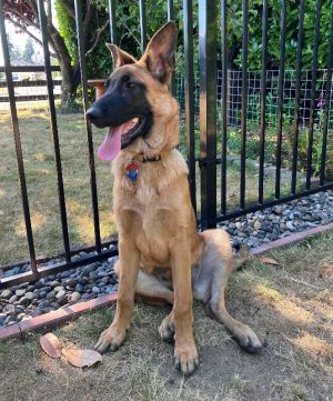 Nova von Xena
