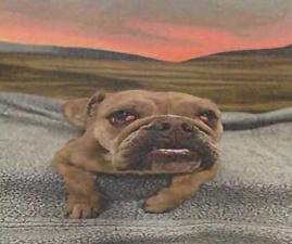 Peanut (A116575)