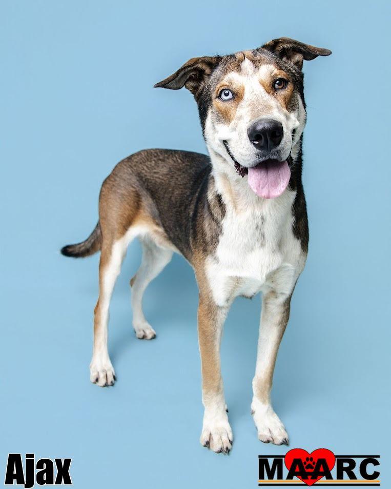 Ajax
