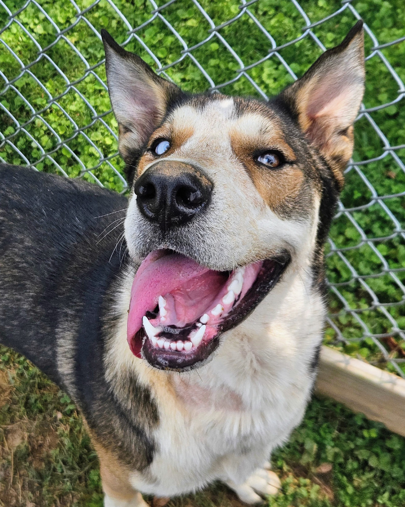 Ajax