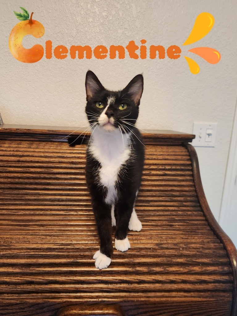 Clementine